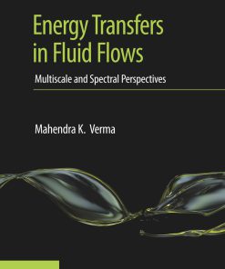 Energy Transfers in Fluid Flows Multiscale and Spectral Perspectives 1st Edition by Mahendra Verma 1107176190 9781107176195