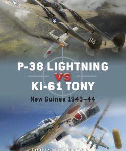 P 38 Lightning vs Ki 61 Tony Donald Nijboer
