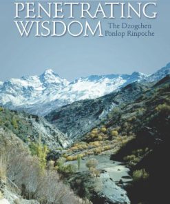 Penetrating Wisdom The Aspiration of Samantabhadra Dzogchen Ponlop Rinpoche