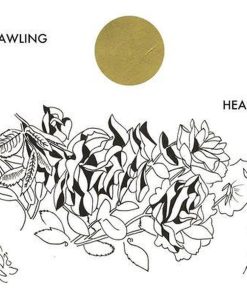 Sprawling Heart First Edition Sab Meynert