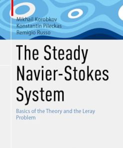 The Steady Navier Stokes System Basics of the Theory and the Leray Problem 2024th Edition Mikhail Korobkov