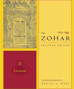 The Zohar Pritzker Edition Vol 2 Daniel C. Matt